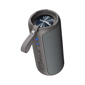 Canyon Speaker OnMove